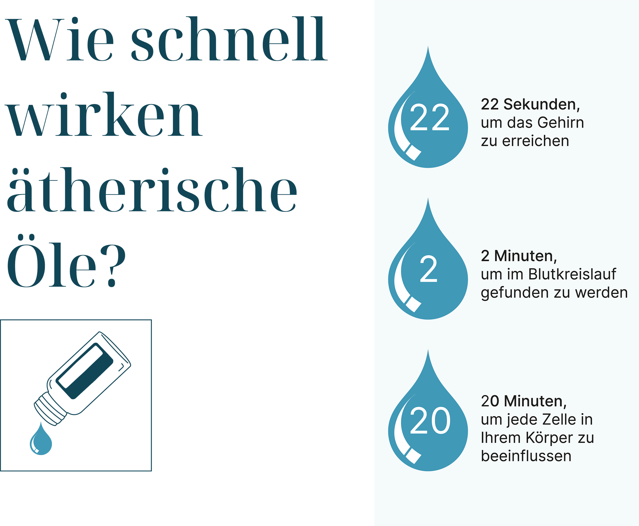 wie schnel öle 2